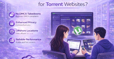 What is DMCA Ignored Hosting for Torrent Websites